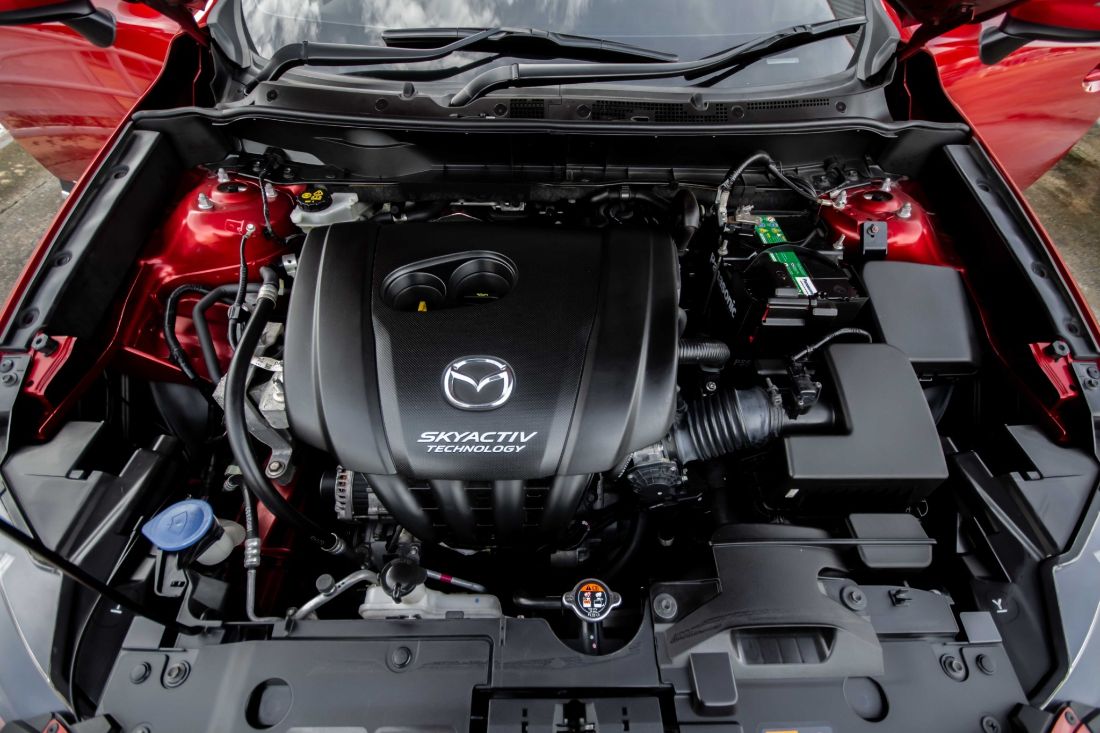 Thumbnail [100%x225]